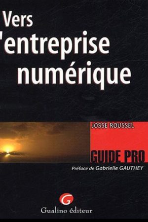 vers-entreprise-numerique